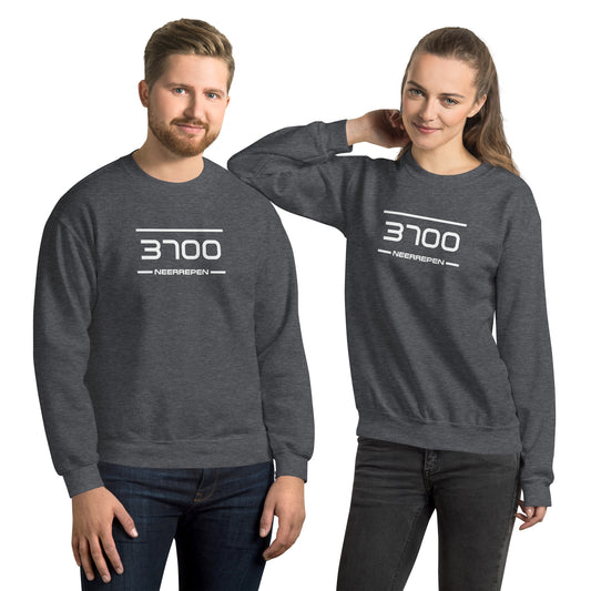 Sweater - 3700 - Neerrepen (M/V)