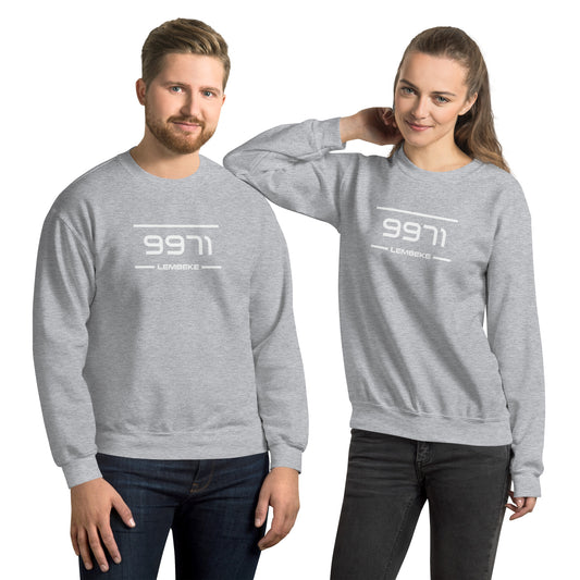 Sweater - 9971 - Lembeke (M/V)